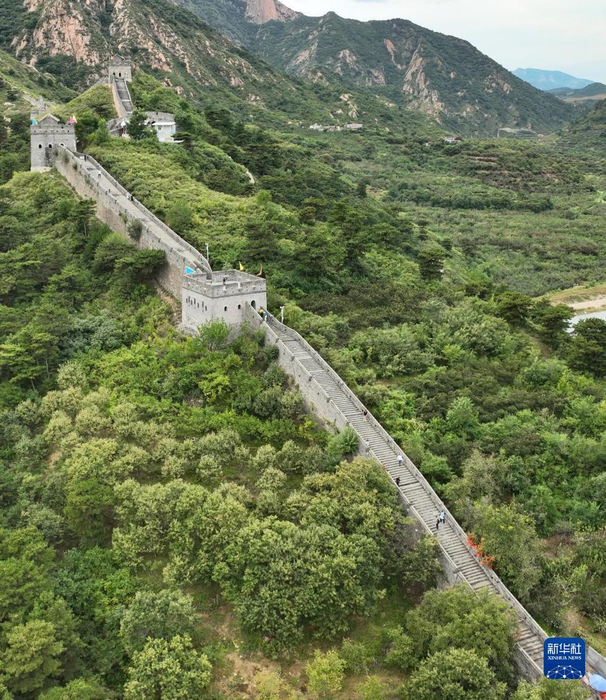 大鱼在线P443593