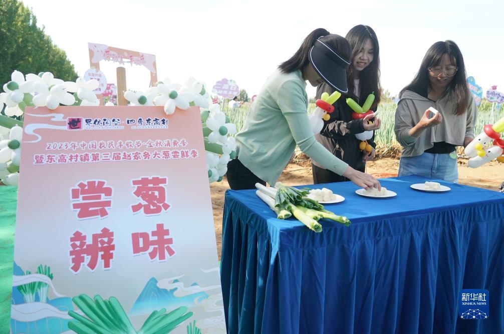 mg游戏娱乐